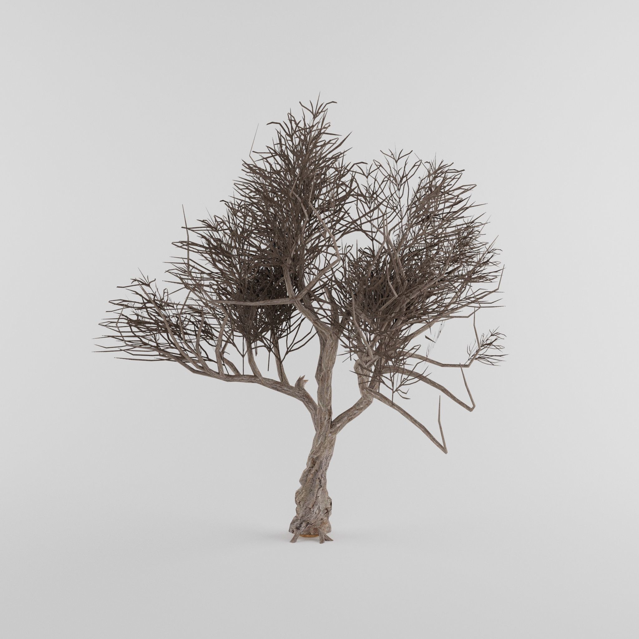 Tree Collection Low-poly 3D model_14