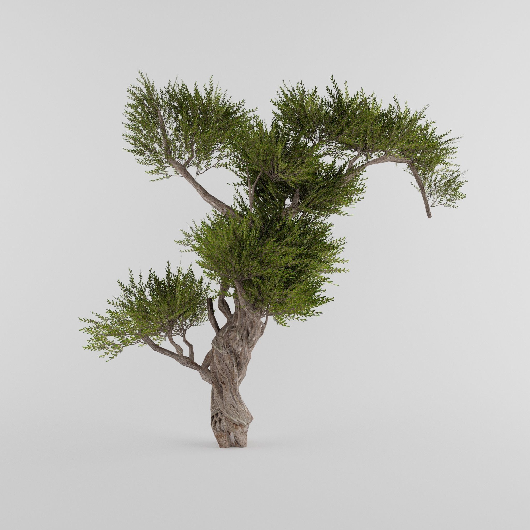 Tree Collection Low-poly 3D model_10