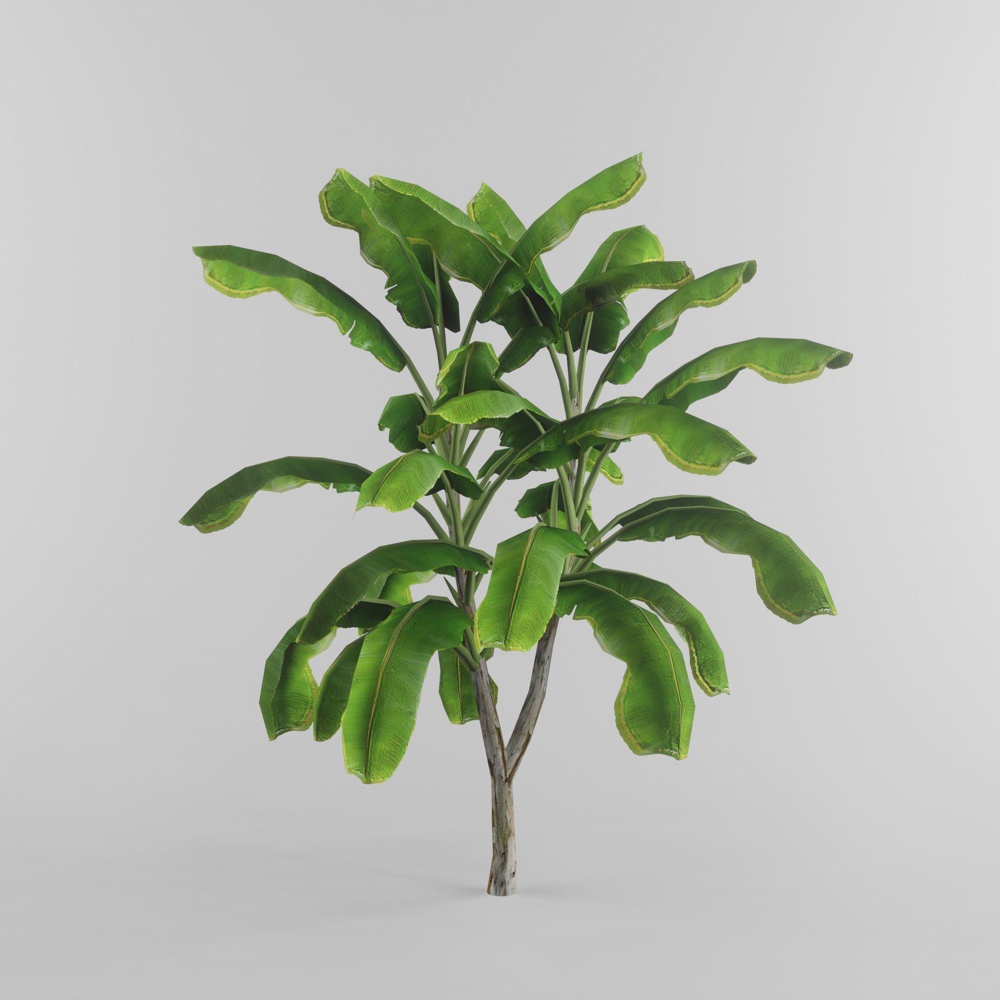 Tree Collection Low-poly 3D model_11