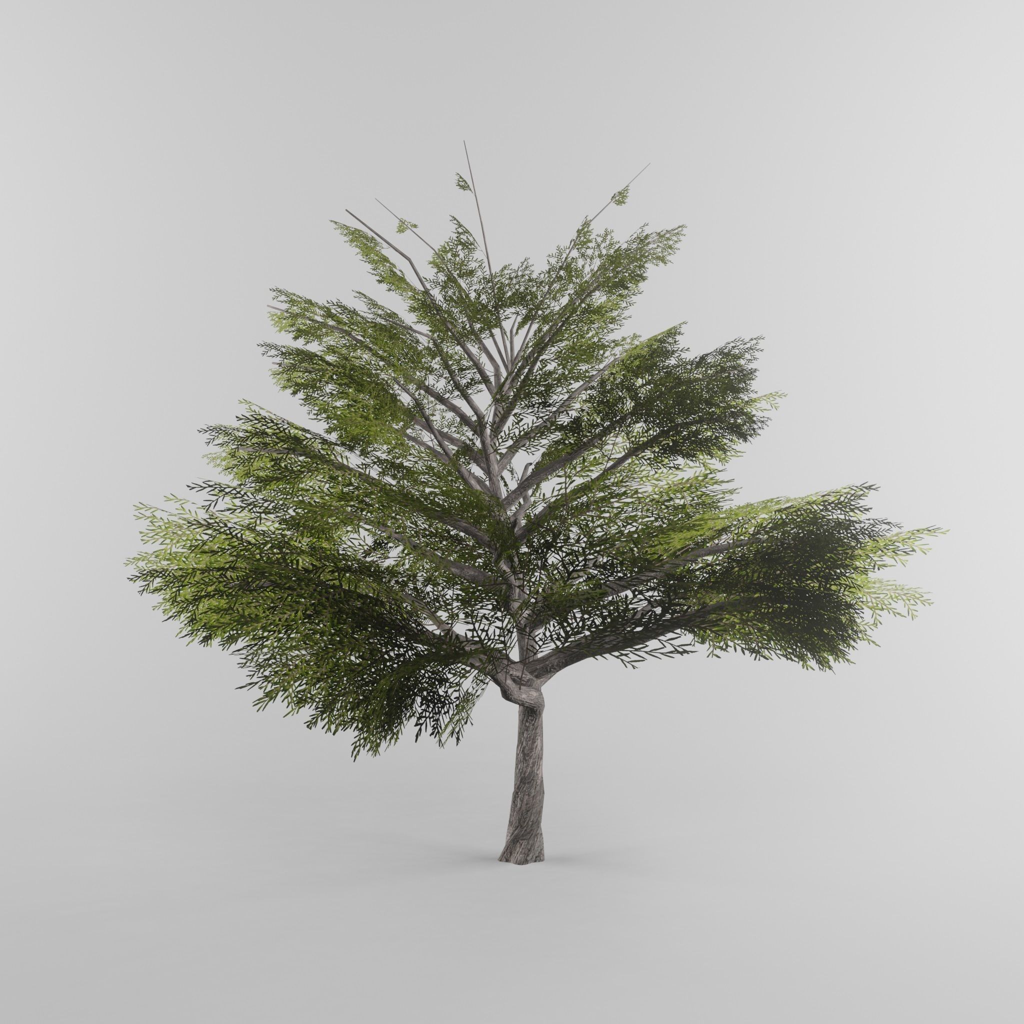 Tree Collection Low-poly 3D model_23