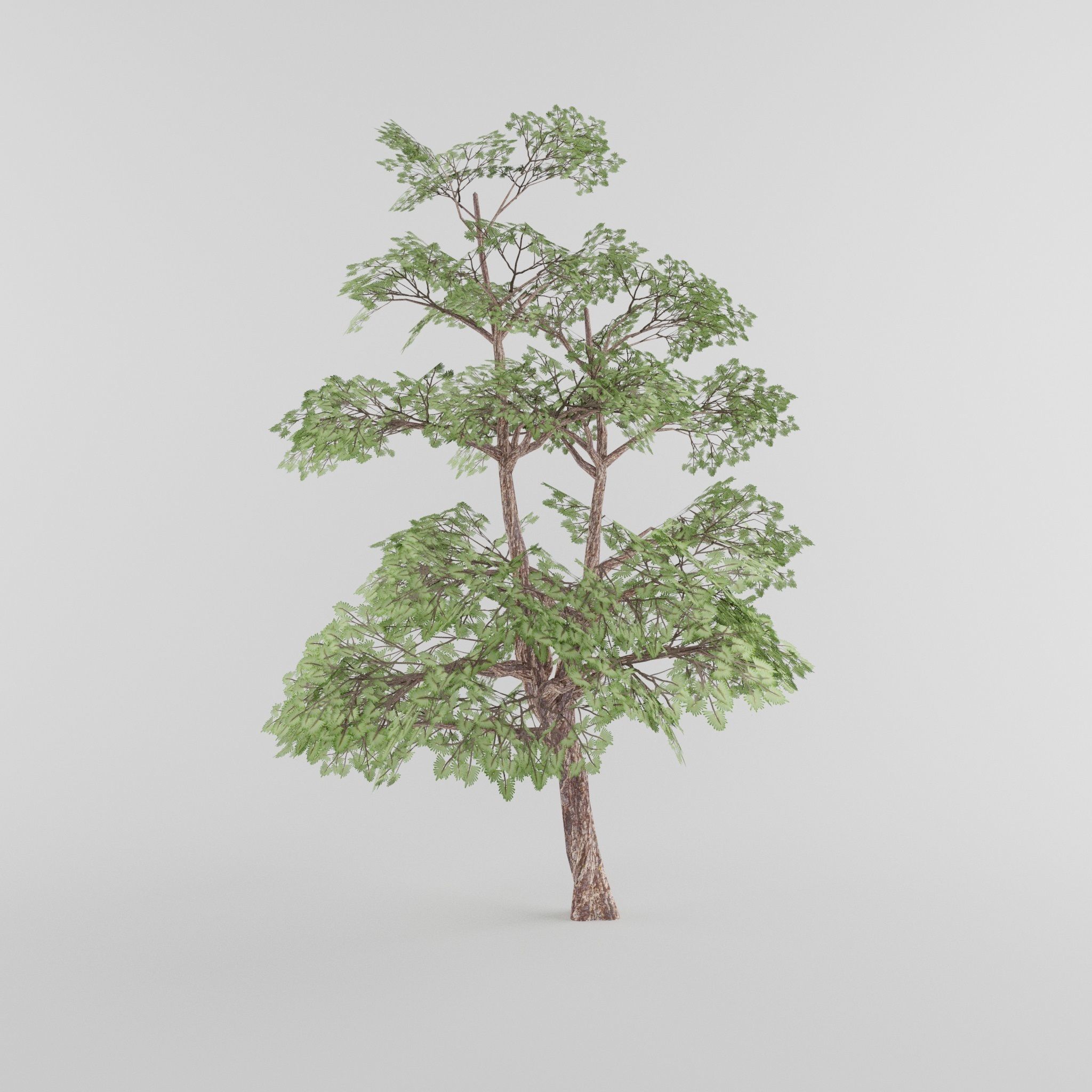 Tree Collection Low-poly 3D model_5