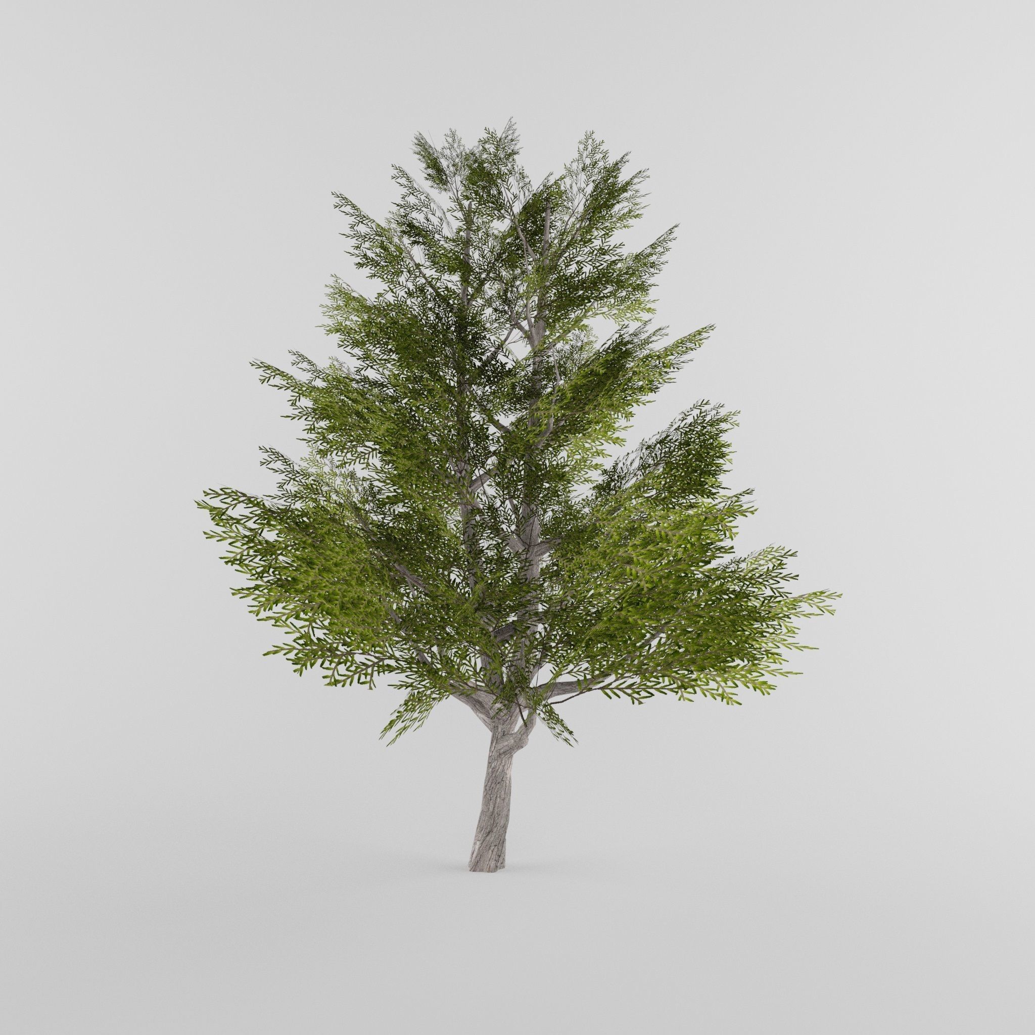 Tree Collection Low-poly 3D model_7