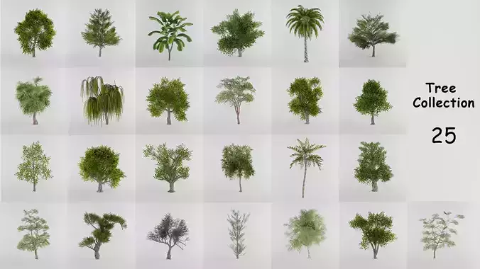 Tree Collection