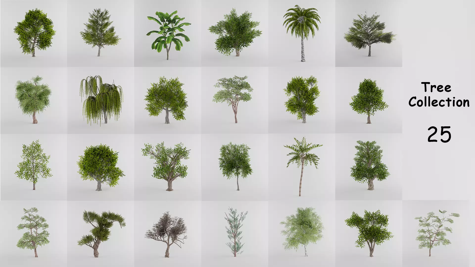 Tree Collection Low-poly 3D model_0