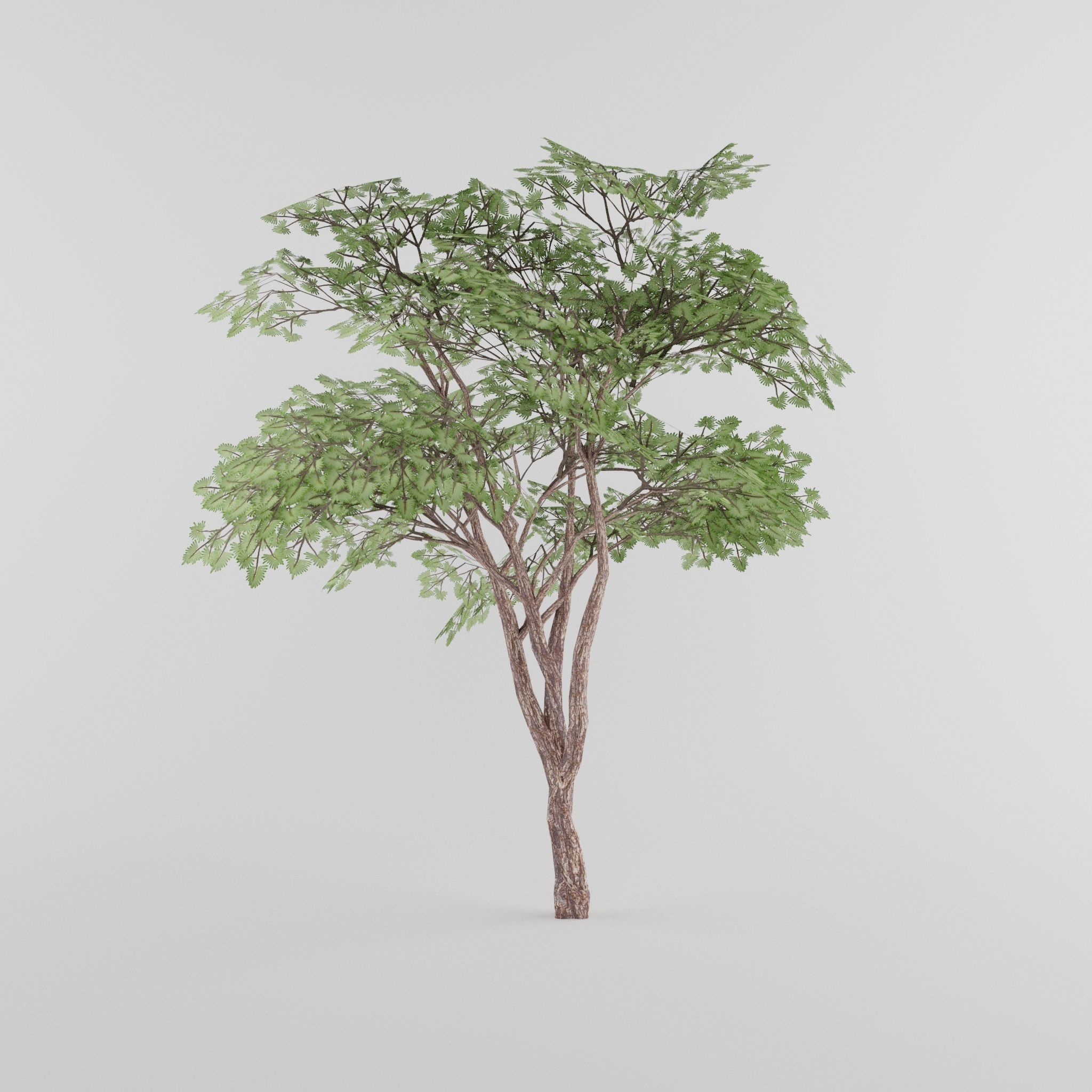 Tree Collection Low-poly 3D model_16