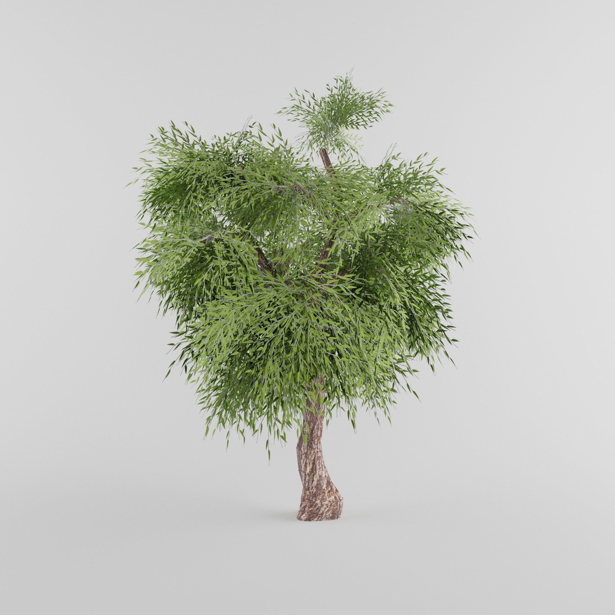 Tree Collection Low-poly 3D model_3
