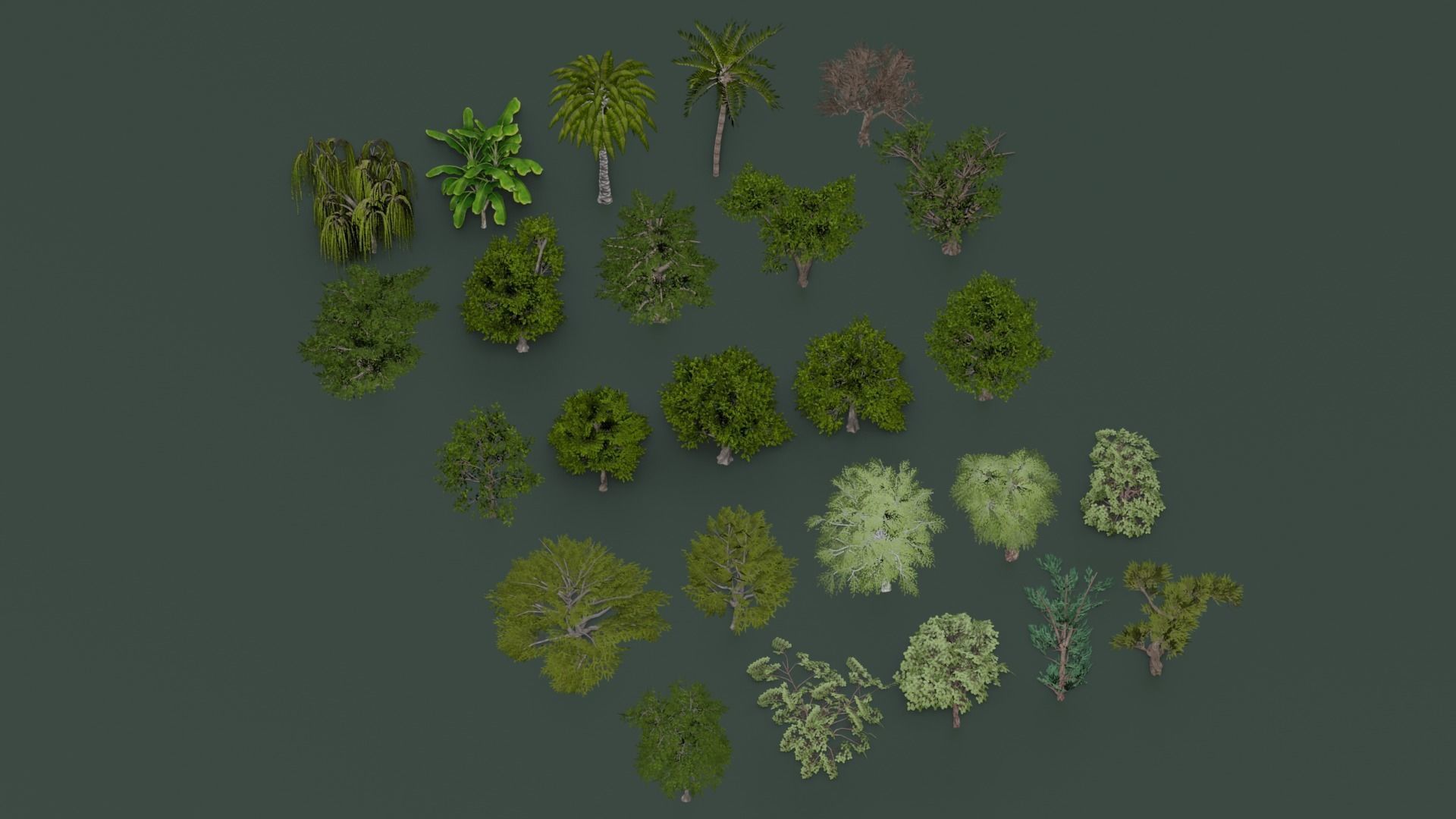 Tree Collection Low-poly 3D model_27
