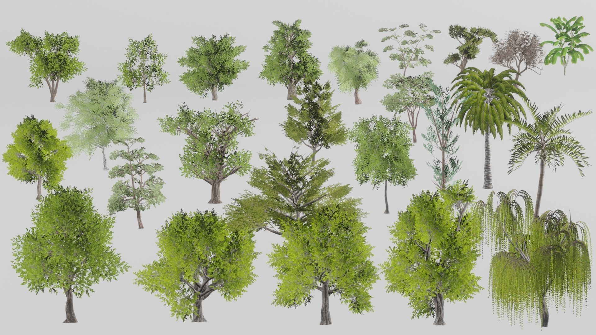 Tree Collection Low-poly 3D model_28