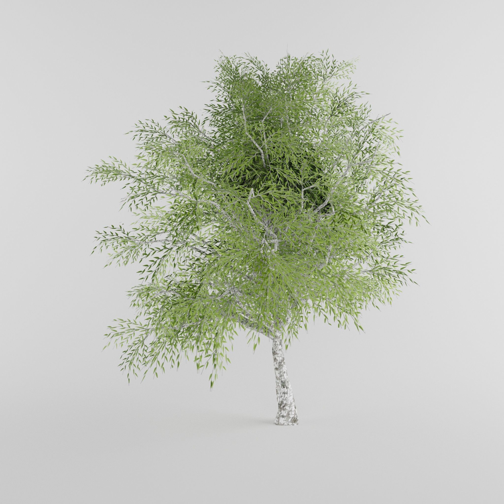Tree Collection Low-poly 3D model_20
