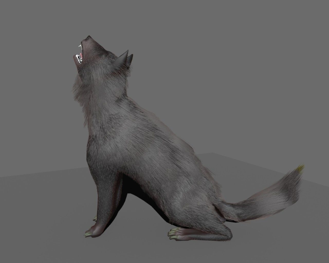 wolf rigged Low-poly 3D model_1