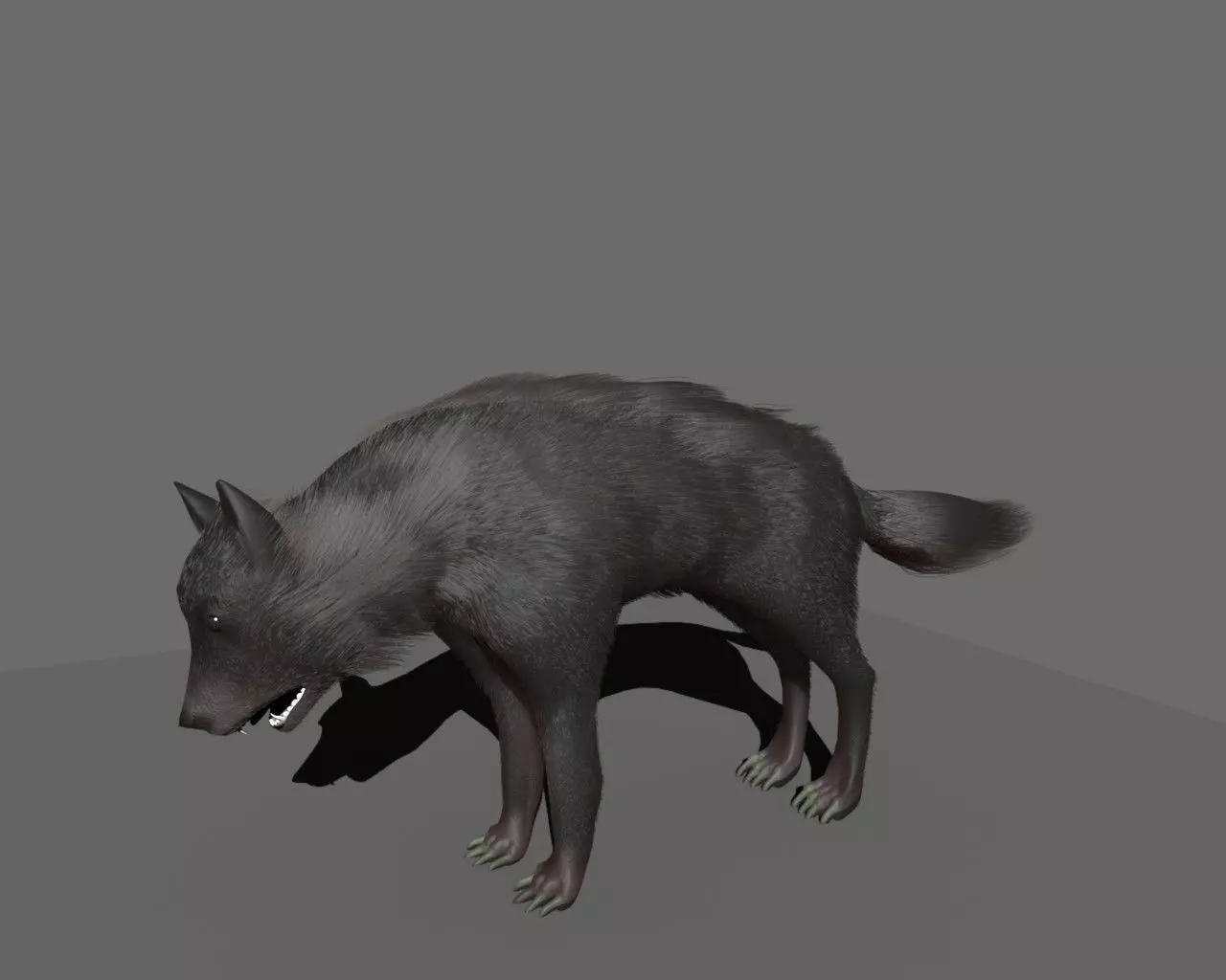 wolf rigged Low-poly 3D model_0