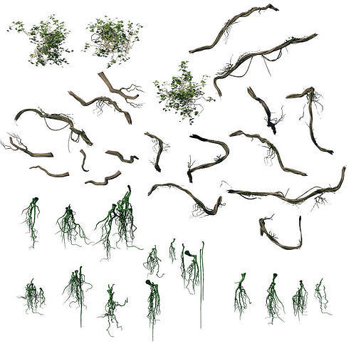 Suburb - Huanglongshan broken bridge vines 3D model