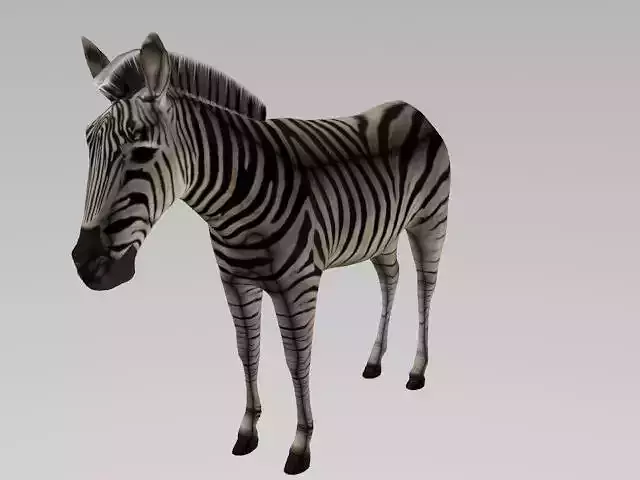 ZEBRA LOW POLY