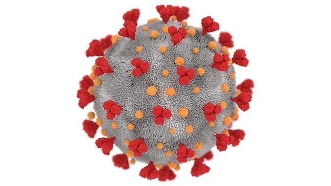 Coronavirus corona virus 3D model