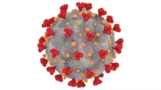 Coronavirus corona virus