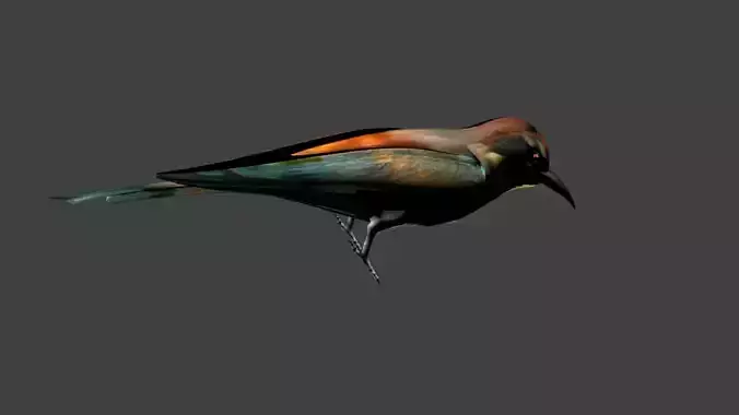 low poly bird
