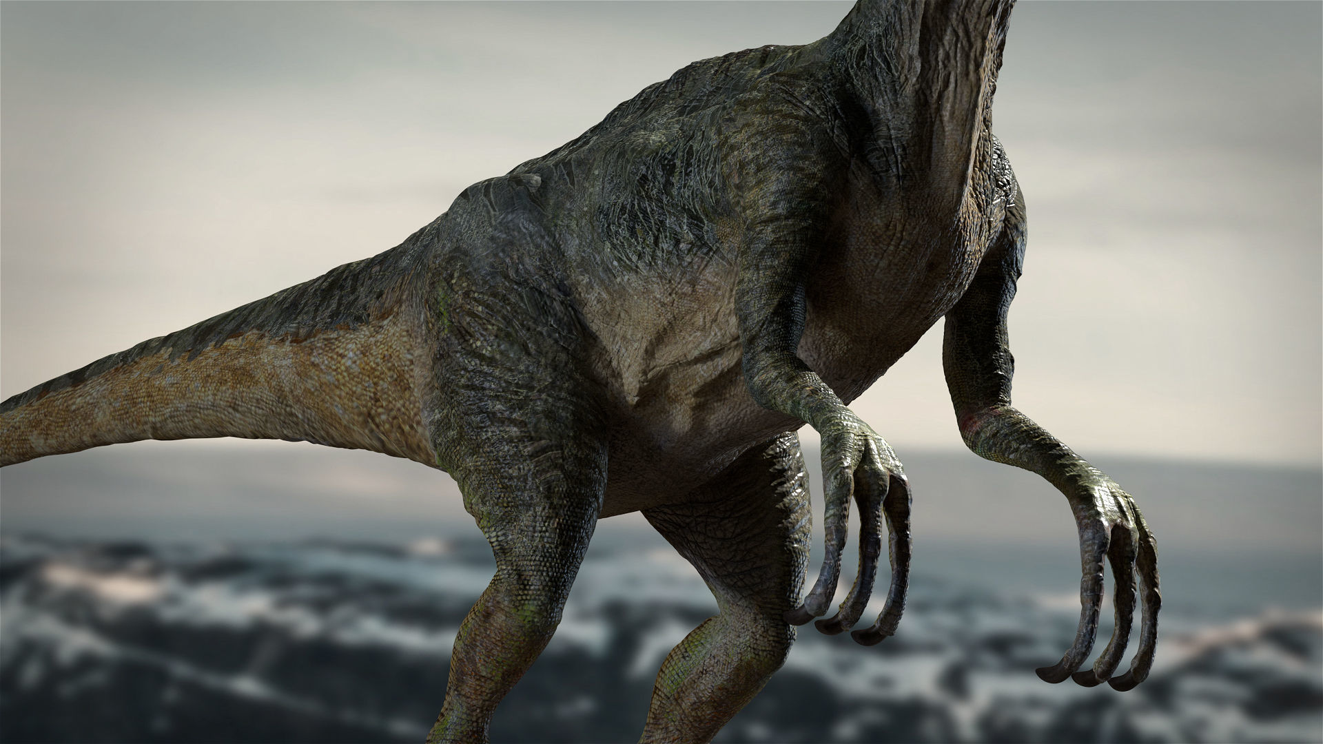 Velociraptor Animated Rigged 3D model Low-poly 3D model_9