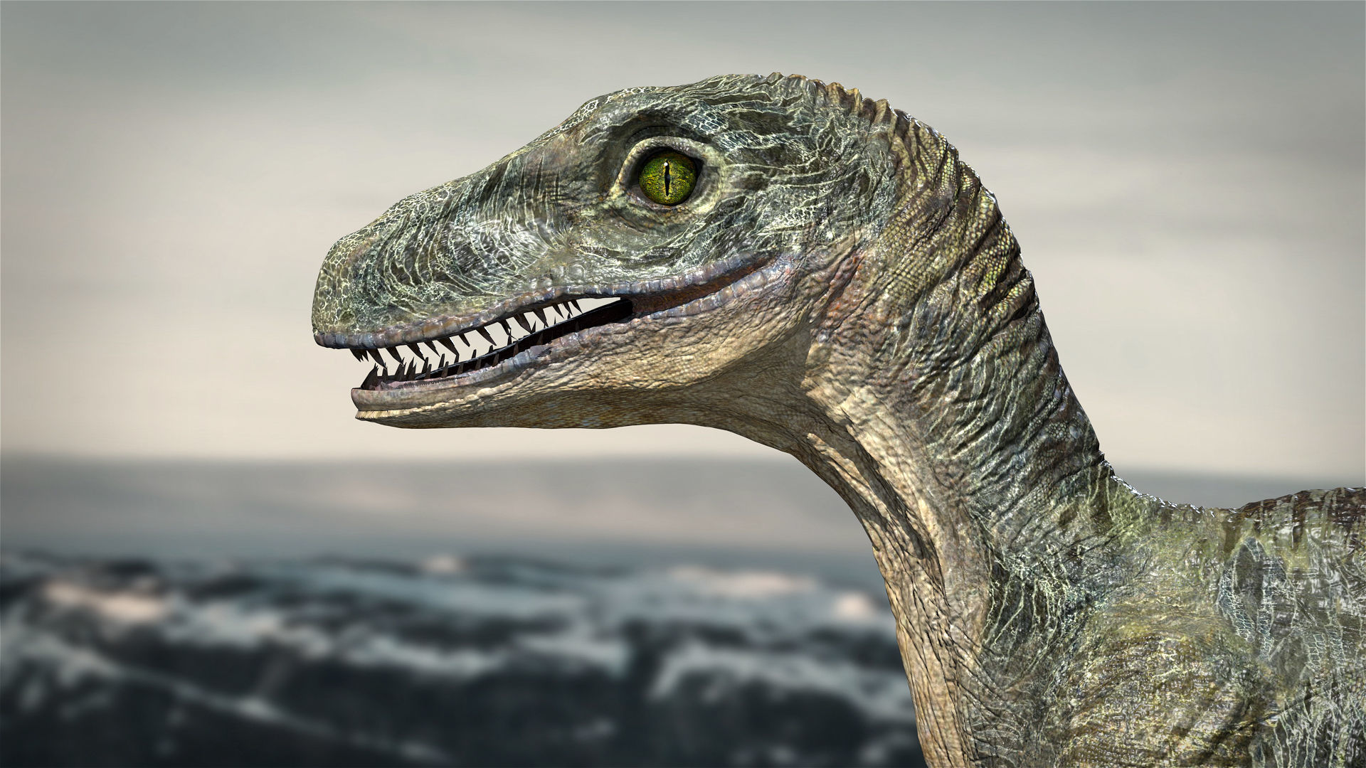 Velociraptor Animated Rigged 3D model Low-poly 3D model_6