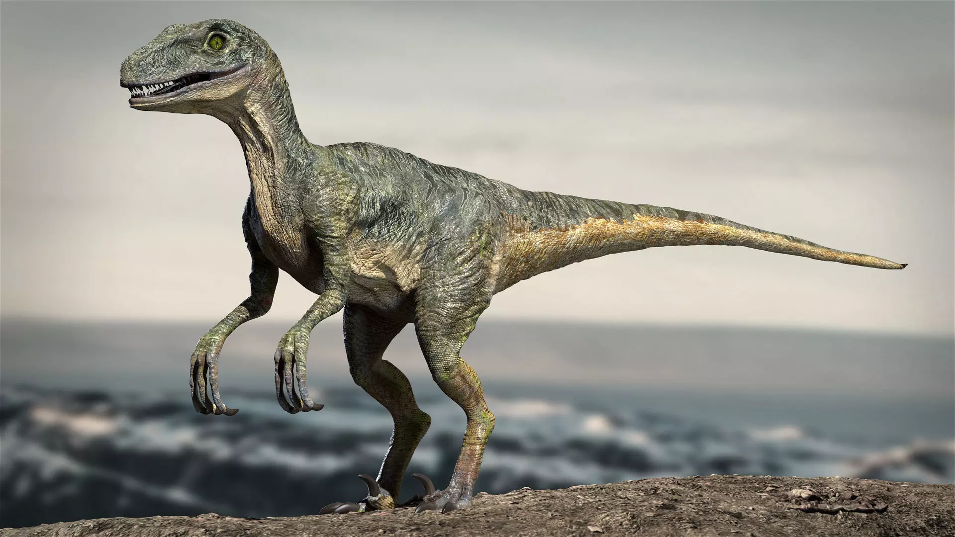 Velociraptor Animated Rigged 3D model Low-poly 3D model_0