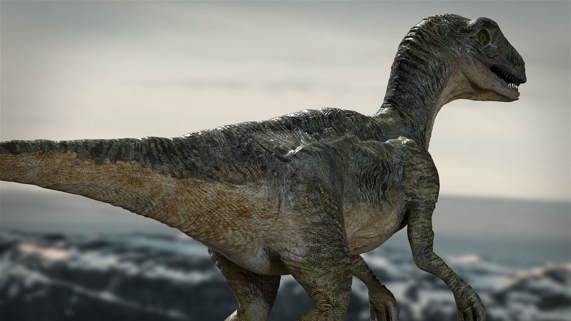 Velociraptor Animated Rigged 3D model Low-poly 3D model_8