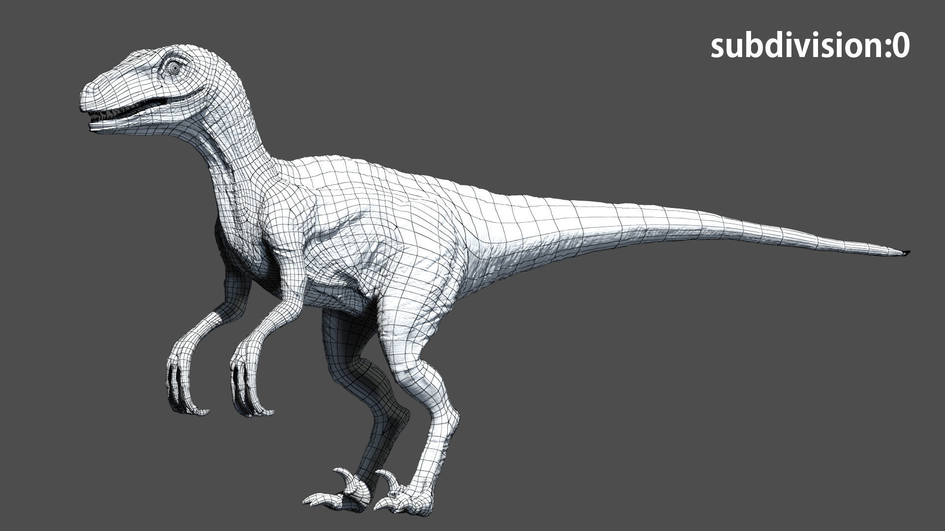 Velociraptor Animated Rigged 3D model Low-poly 3D model_17