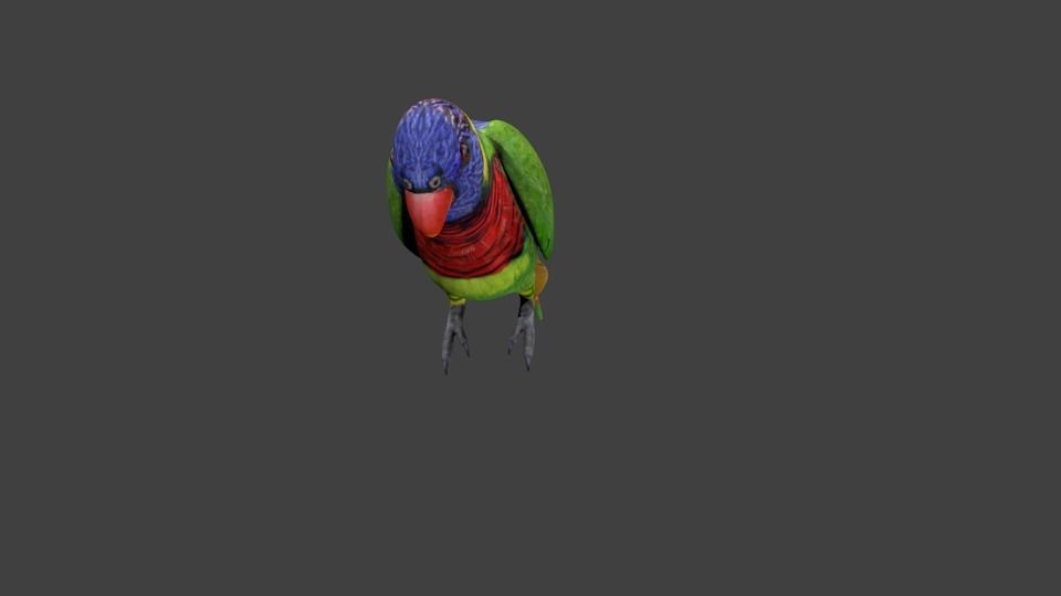 lowpoly bird colorful parrot Low-poly 3D model_3