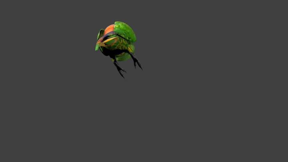 lowpoly bird colorful parrot Low-poly 3D model_7
