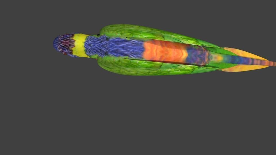 lowpoly bird colorful parrot Low-poly 3D model_6