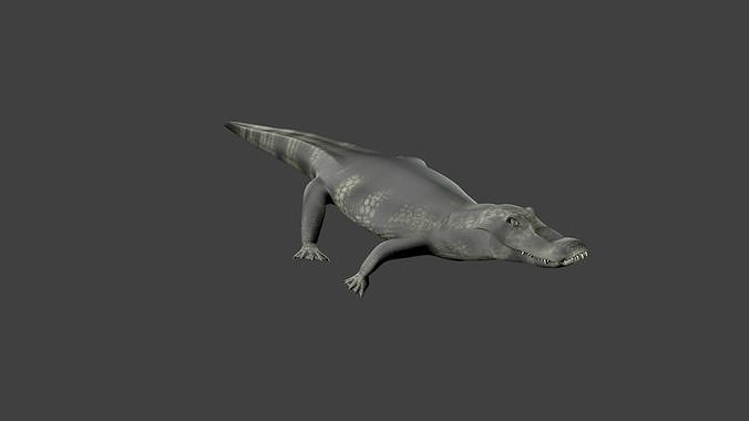 lowpoly Caiman alligator Low-poly 3D model