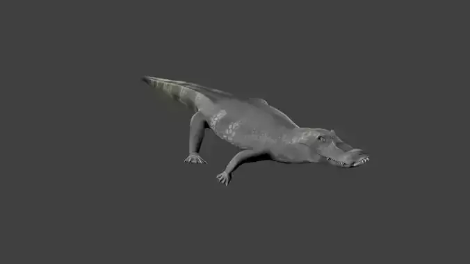 lowpoly Caiman alligator