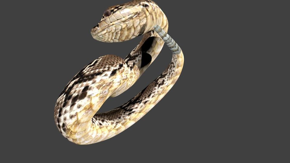 lowpoly snake python Low-poly 3D model_4