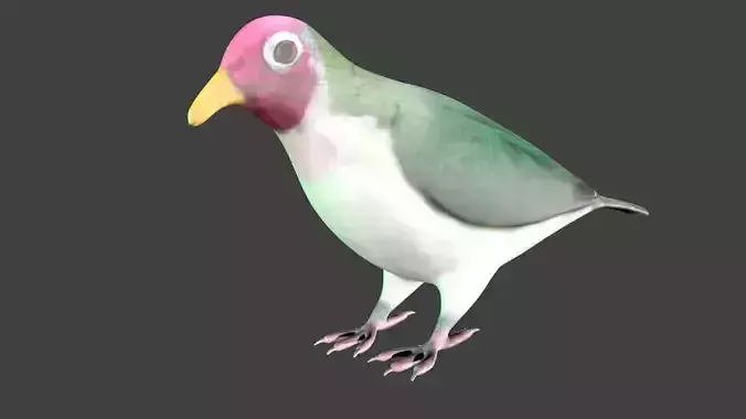 lowpoly bird pigeon