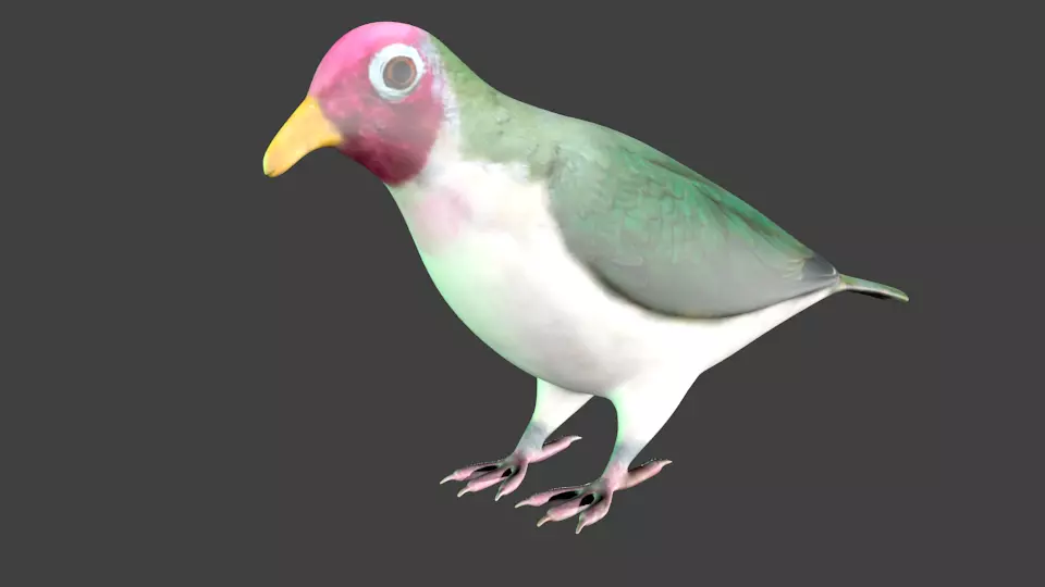 lowpoly bird pigeon Low-poly 3D model_0