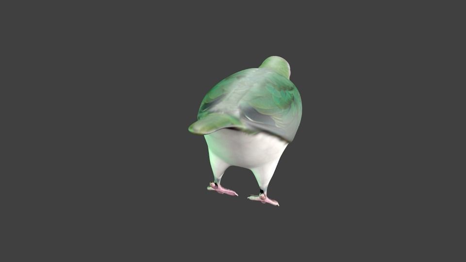 lowpoly bird pigeon Low-poly 3D model_2