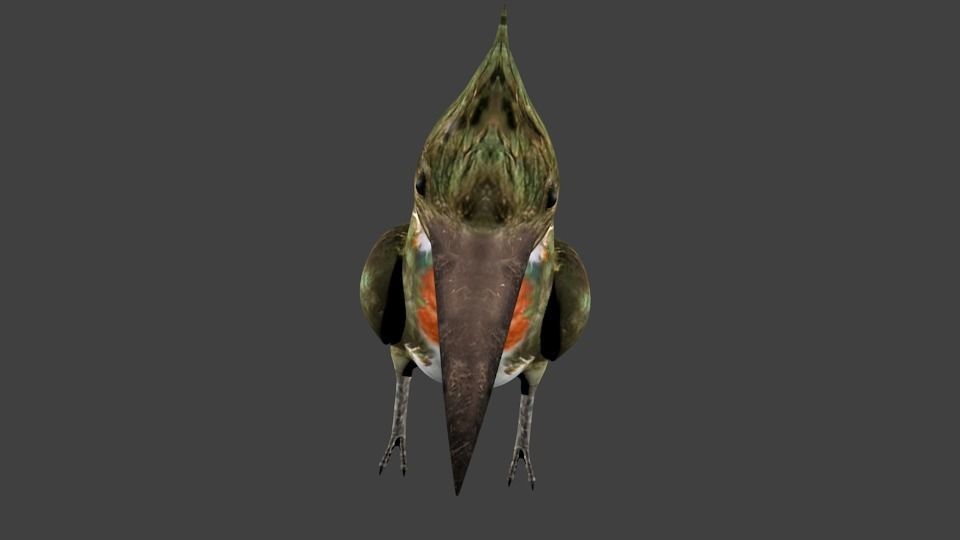 lowpoly bird kingfisher Low-poly 3D model_1