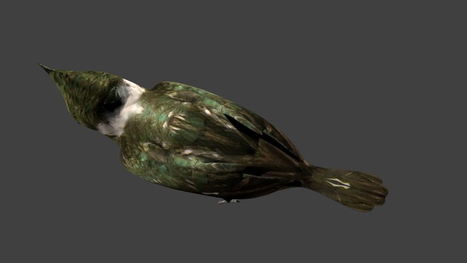 lowpoly bird kingfisher Low-poly 3D model_3