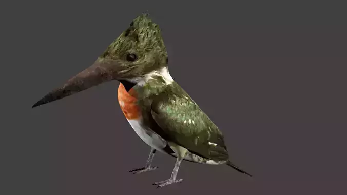 lowpoly bird kingfisher