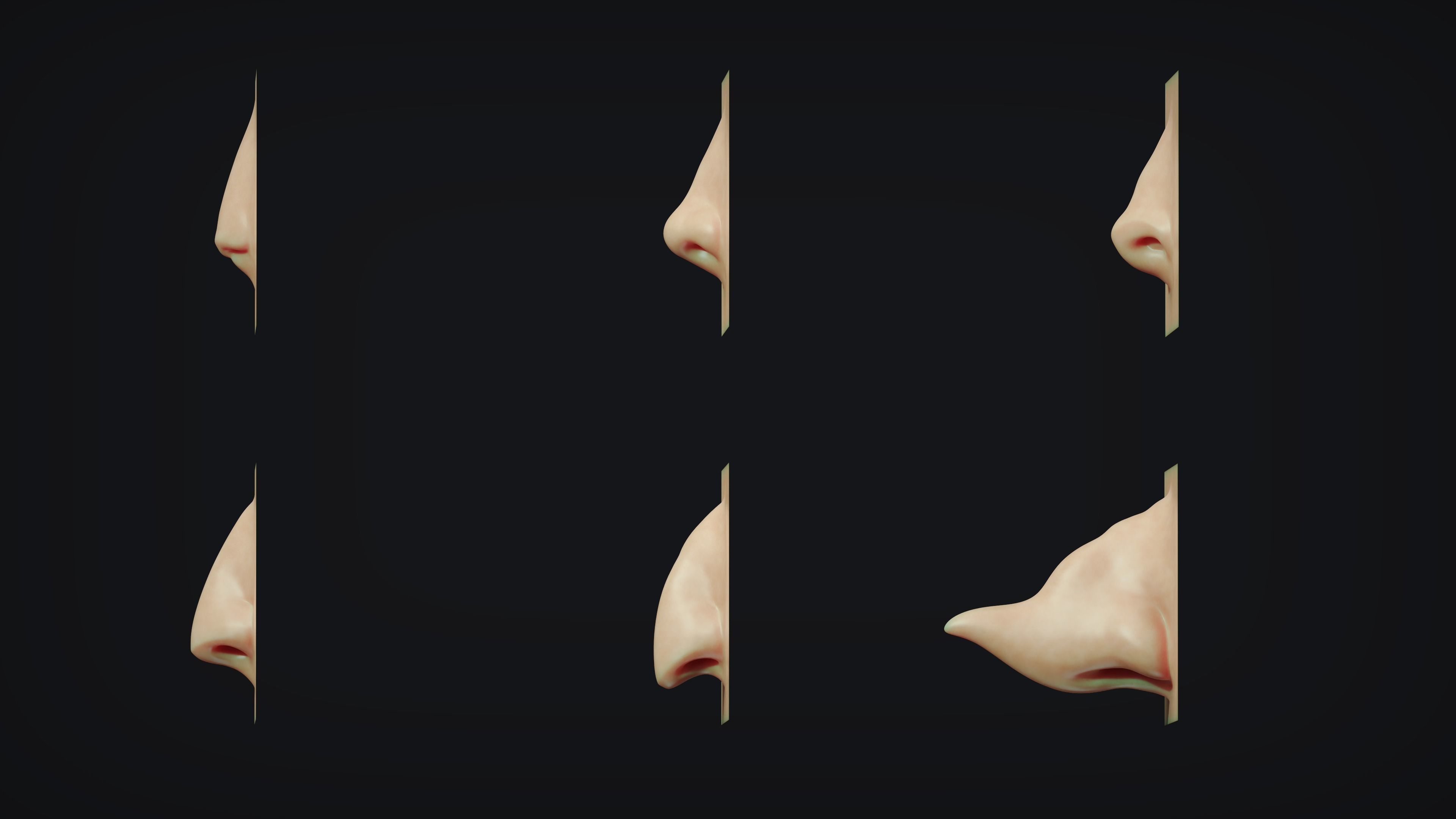 Zbrush - Face IMM and VDM Bundle 3D model_13