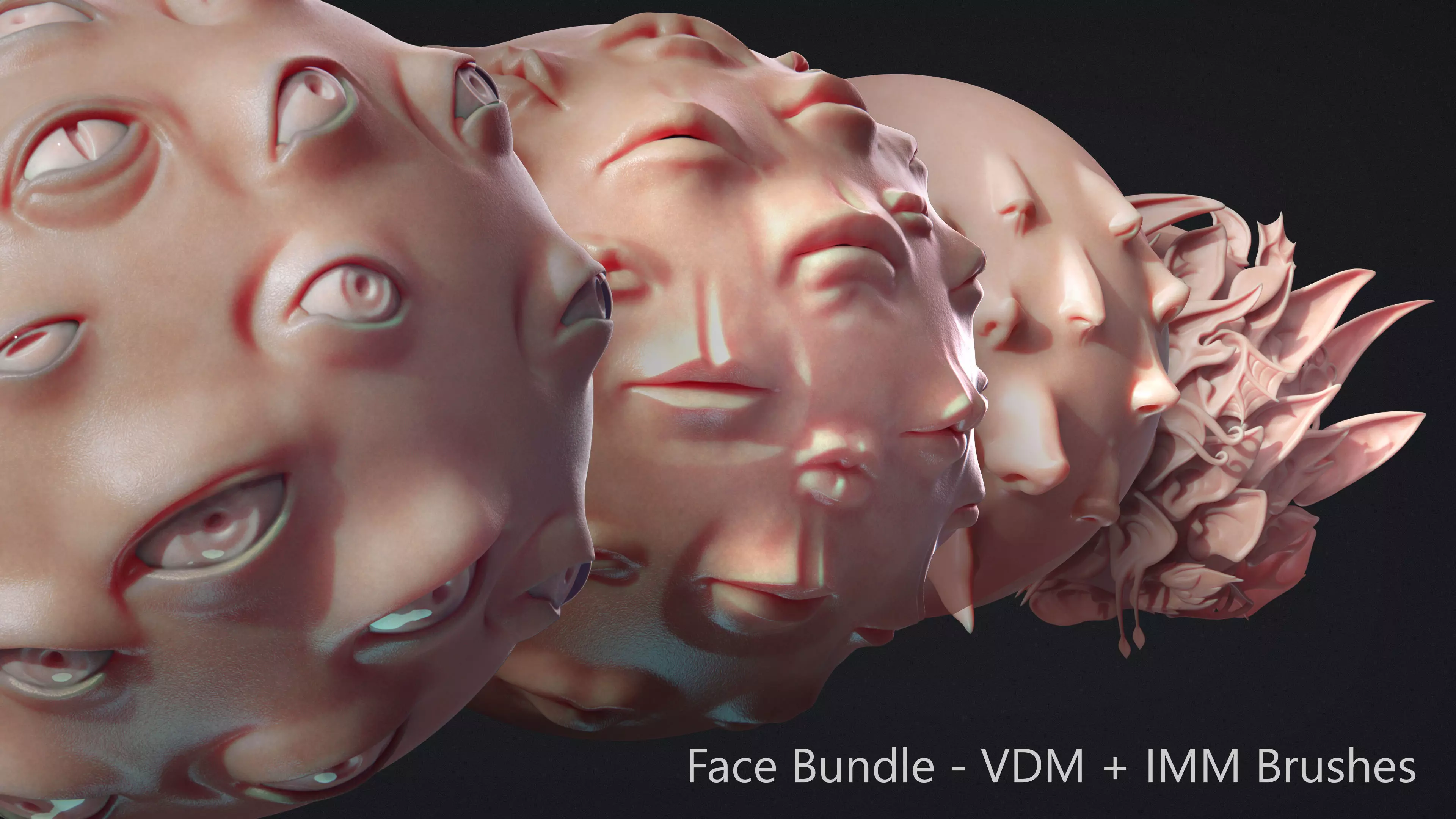 Zbrush - Face IMM and VDM Bundle 3D model_0