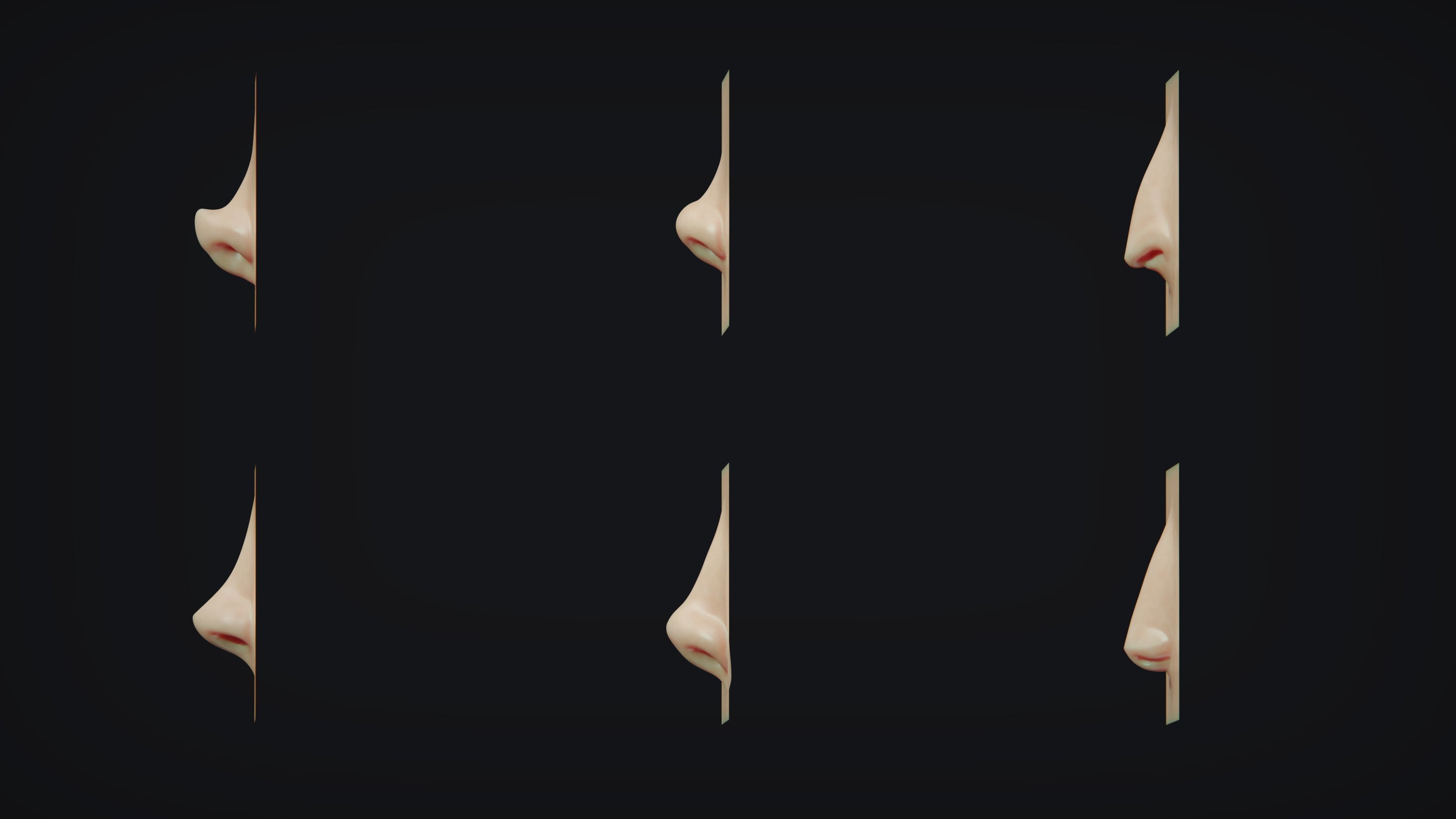 Zbrush - Face IMM and VDM Bundle 3D model_9