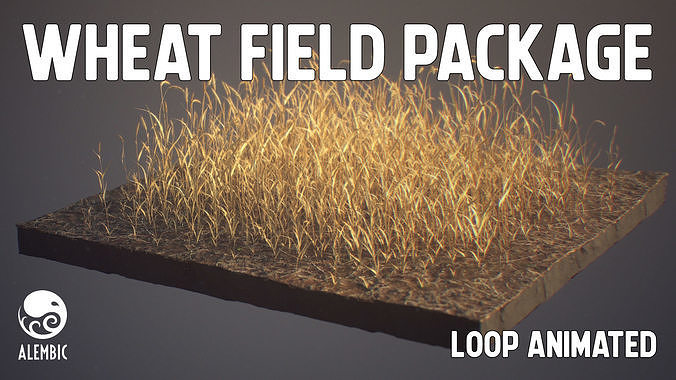 Wheat Field Package Loop Animated 3D model