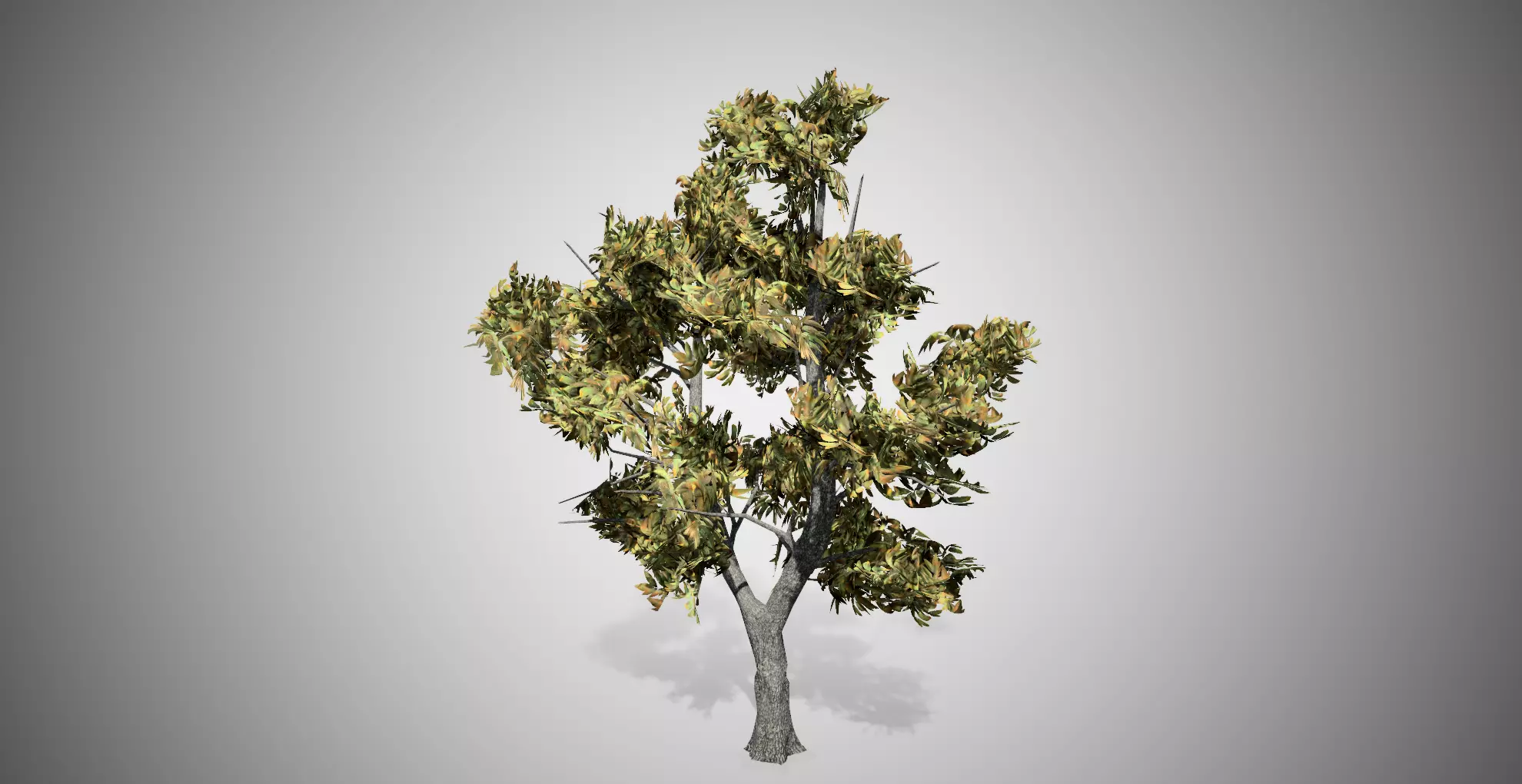 Green Ash Fall Tree Low-poly 3D model_0