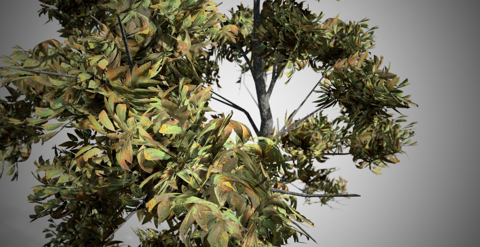 Green Ash Fall Tree Low-poly 3D model_1