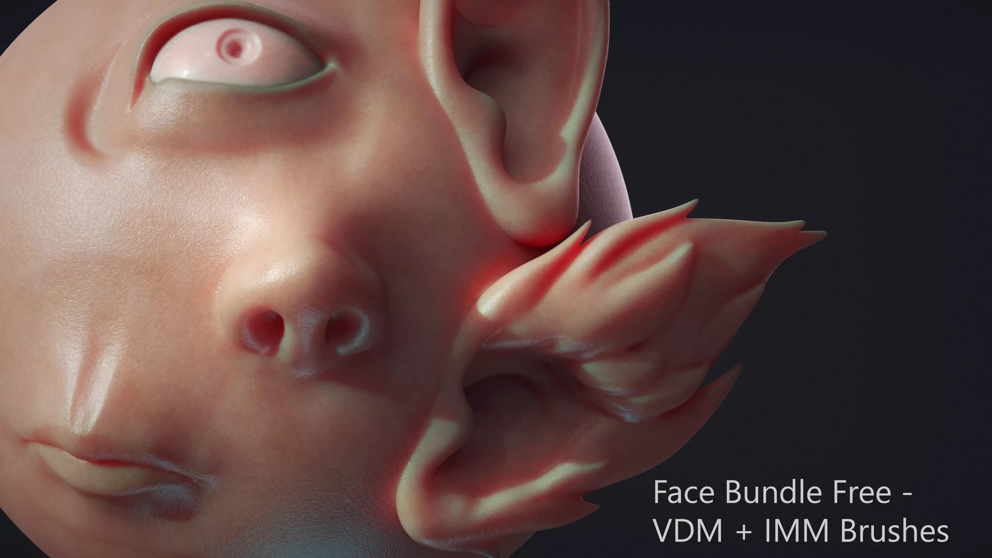 Zbrush - Free - Face IMM and VDM Bundle Free 3D model