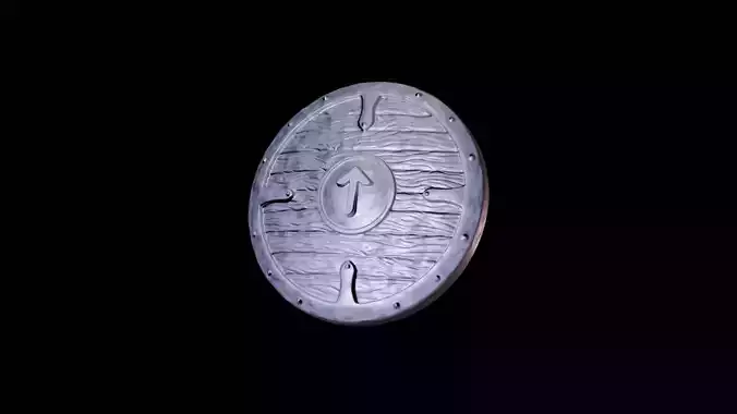 Scandinavian shield with rune Teiwaz