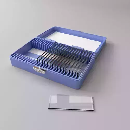 Microscope Slide Box
