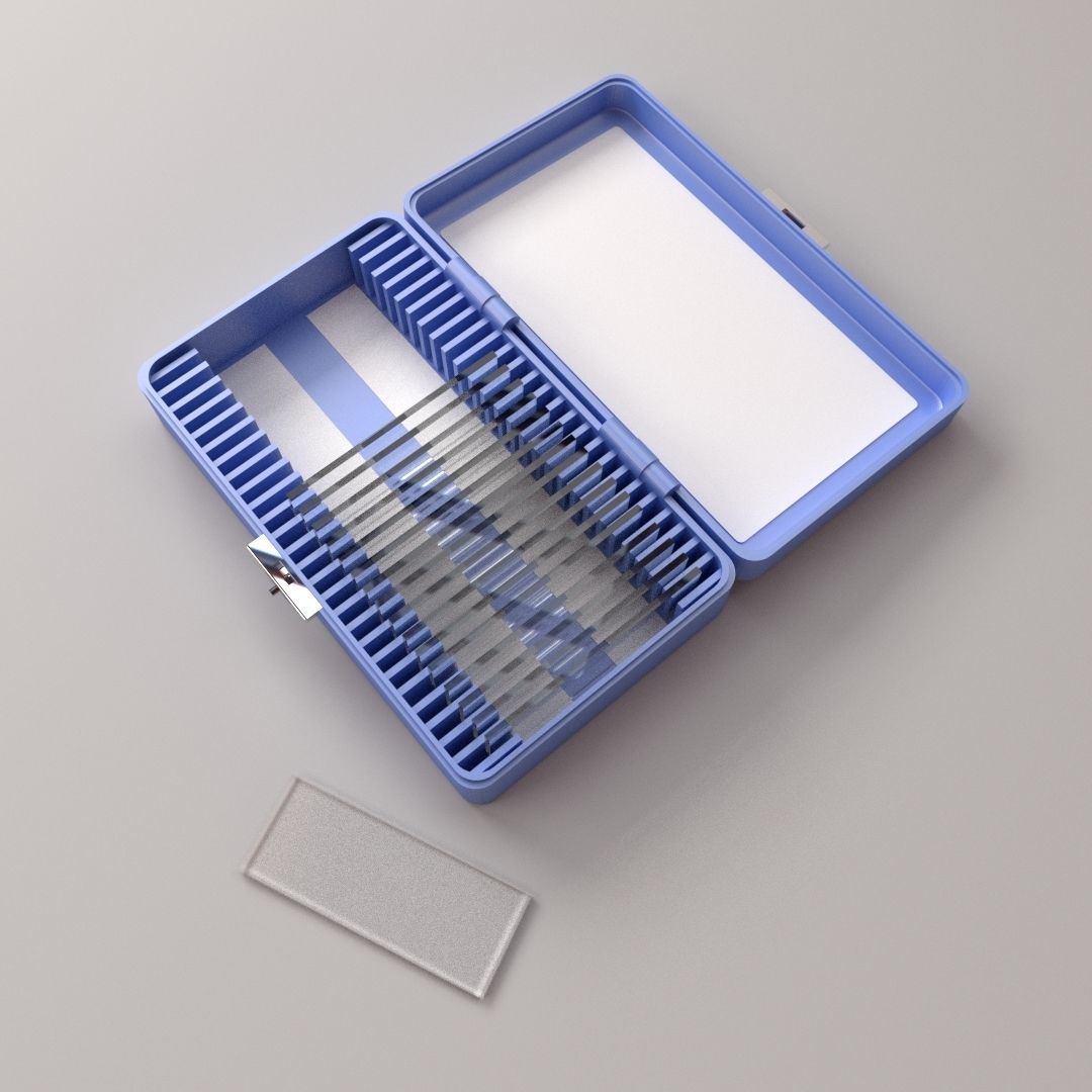 Microscope Slide Box 3D model_2