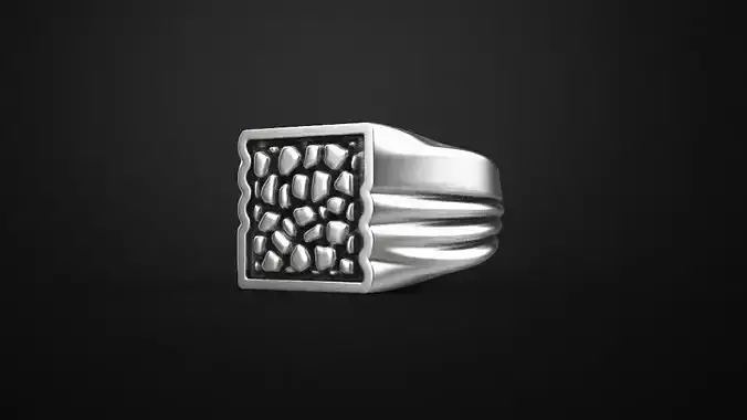 special signet  man ring for men