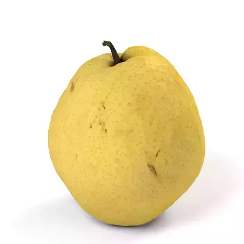 Honey Barrow Pear - Photorealistic  Scan