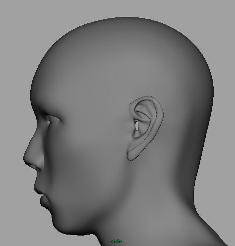 3D Whole Body Male Low Poly UVd Low-poly 3D model_4